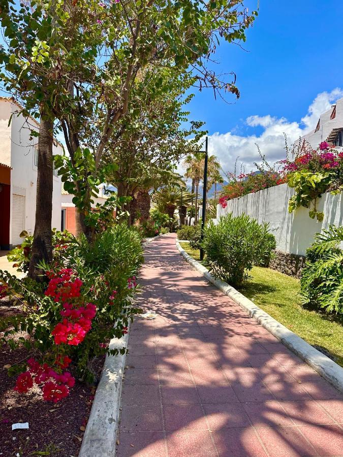 Parque Santiago 2 Apartments By Pure Home Tenerife 阿罗纳 外观 照片